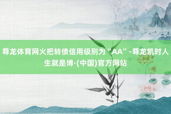 尊龙体育网火把转债信用级别为“AA”-尊龙凯时人生就是博·(中国)官方网站
