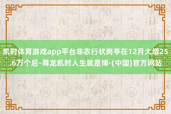 凯时体育游戏app平台非农行状岗亭在12月大增25.6万个后-尊龙凯时人生就是博·(中国)官方网站