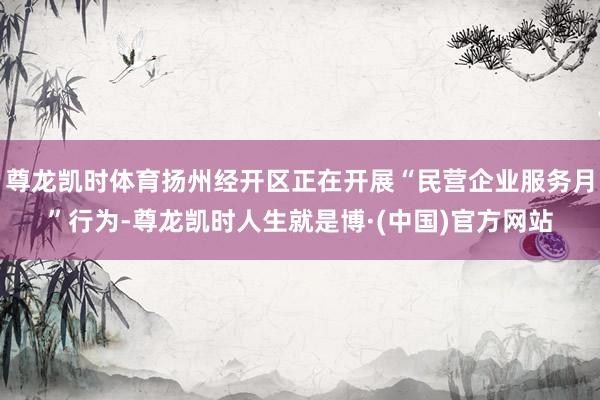 尊龙凯时体育扬州经开区正在开展“民营企业服务月”行为-尊龙凯时人生就是博·(中国)官方网站