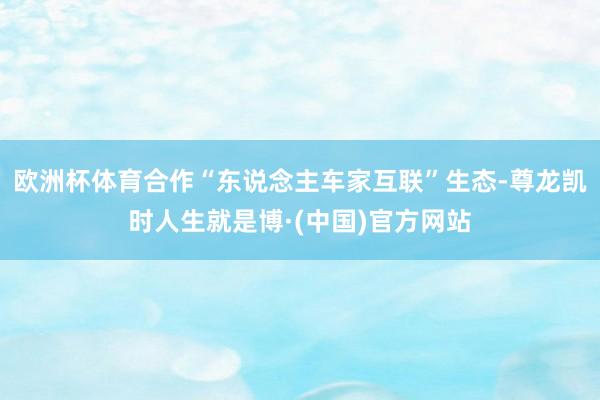 欧洲杯体育合作“东说念主车家互联”生态-尊龙凯时人生就是博·(中国)官方网站