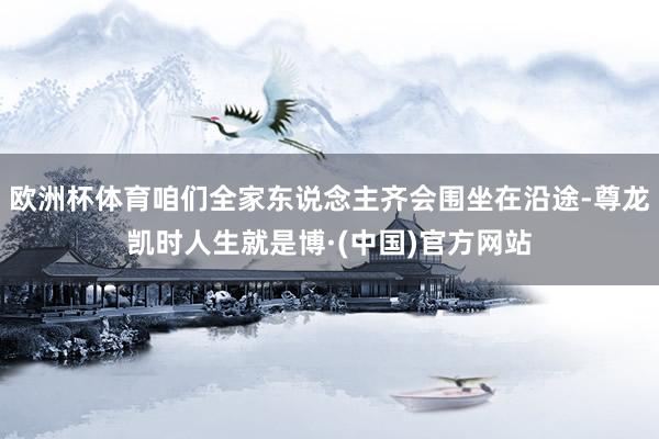 欧洲杯体育咱们全家东说念主齐会围坐在沿途-尊龙凯时人生就是博·(中国)官方网站