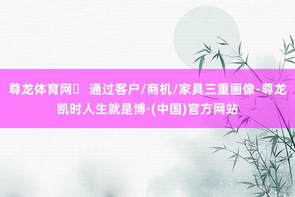 尊龙体育网▸ 通过客户/商机/家具三重画像-尊龙凯时人生就是博·(中国)官方网站