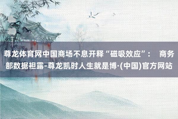 尊龙体育网中国商场不息开释“磁吸效应”：  商务部数据袒露-尊龙凯时人生就是博·(中国)官方网站