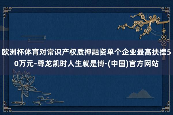 欧洲杯体育对常识产权质押融资单个企业最高扶捏50万元-尊龙凯时人生就是博·(中国)官方网站