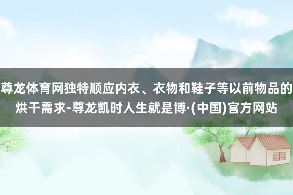 尊龙体育网独特顺应内衣、衣物和鞋子等以前物品的烘干需求-尊龙凯时人生就是博·(中国)官方网站