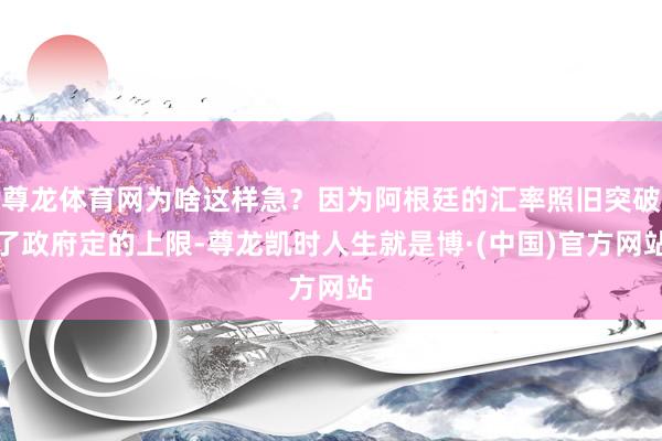 尊龙体育网为啥这样急？因为阿根廷的汇率照旧突破了政府定的上限-尊龙凯时人生就是博·(中国)官方网站