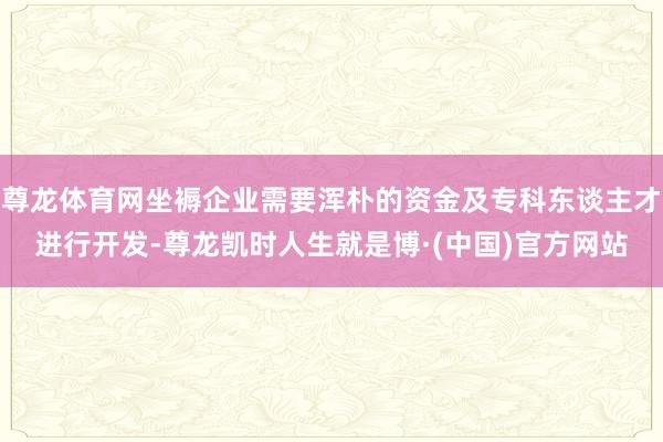 尊龙体育网坐褥企业需要浑朴的资金及专科东谈主才进行开发-尊龙凯时人生就是博·(中国)官方网站